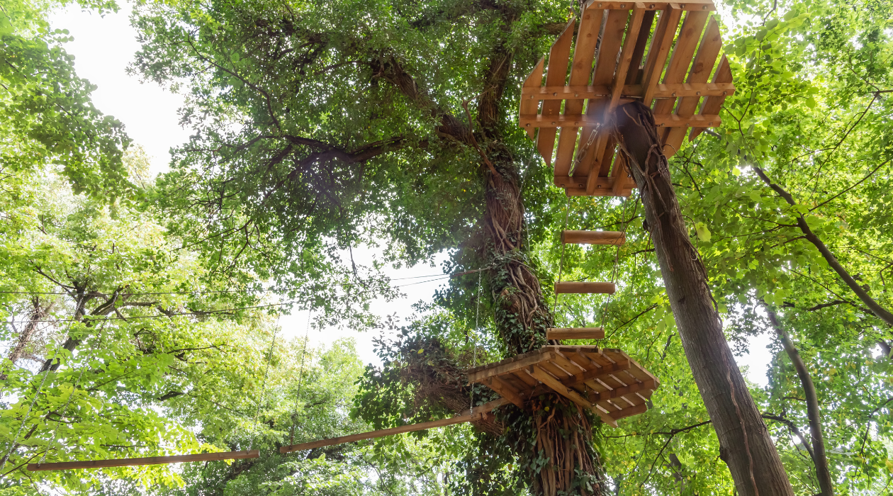 Fruska Gora – popular hideaway for nature & history lovers